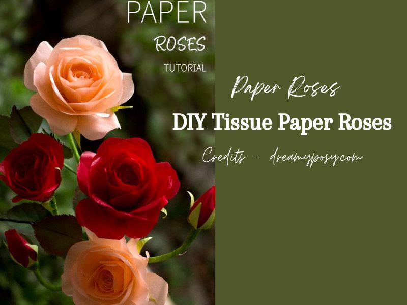 6 Easy Paper Rose Tutorials StepbyStep Guides for Beautiful DIY Flowers (1)