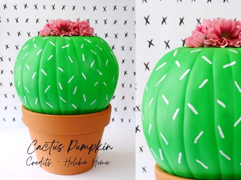 Cactus No Carve Pumpkin