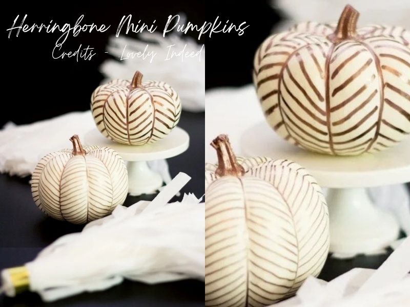 Herringbone Mini Pumpkins