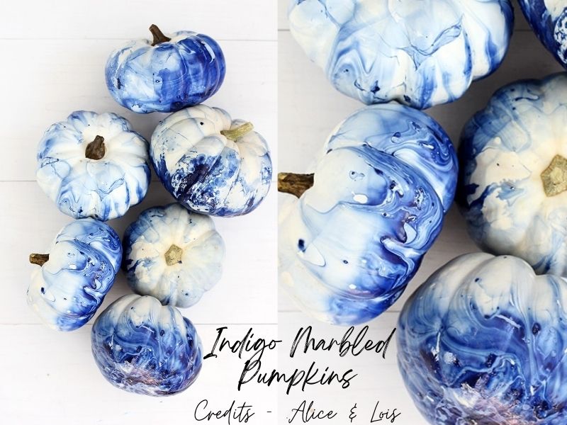 Indigo Marbled Pumpkins