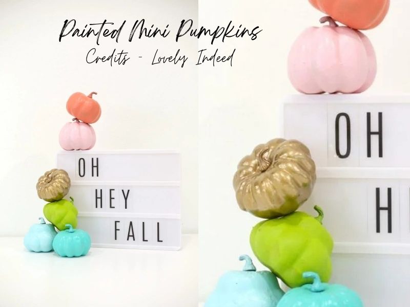 Painted Mini Pumpkins