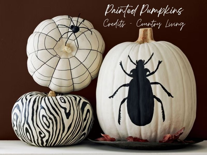 Painted Pumpkins