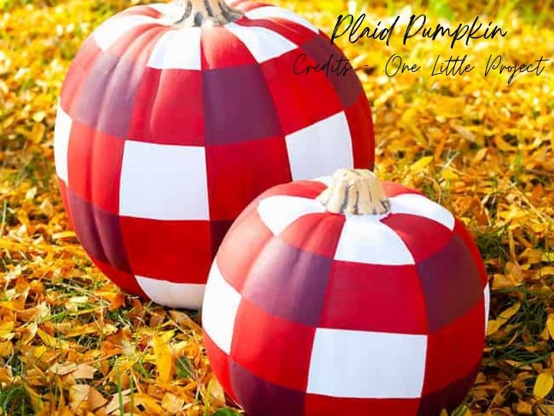 Plaid No Carve Pumpkin