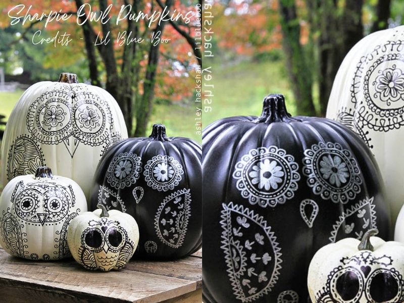 Sharpie Owl Pumpkins